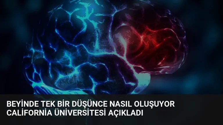 Beyinde Tek Bir Düşünce Nasıl Oluşuyor California Üniversitesi Açıkladı