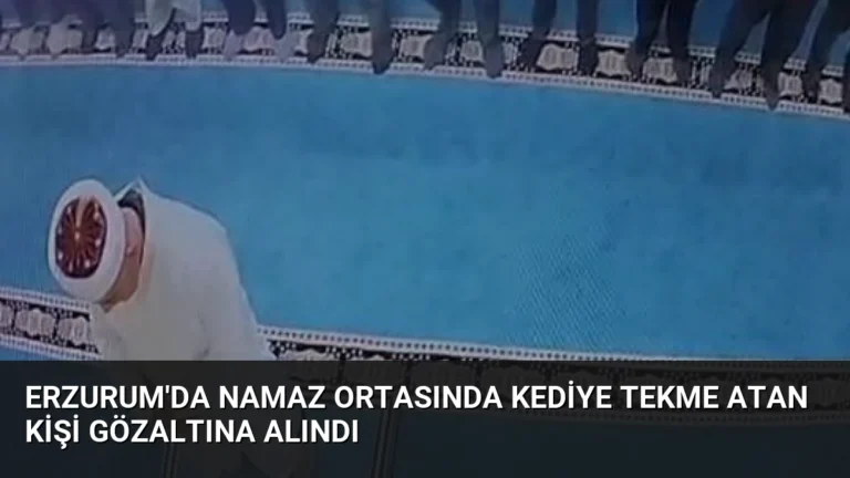 Erzurum’da Namaz Ortasında Kediye Tekme Atan Kişi Gözaltına Alındı