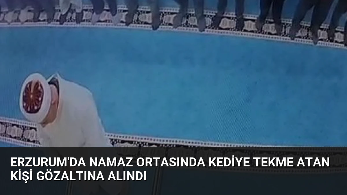 Erzurum’da Namaz Ortasında Kediye Tekme Atan Kişi Gözaltına Alındı