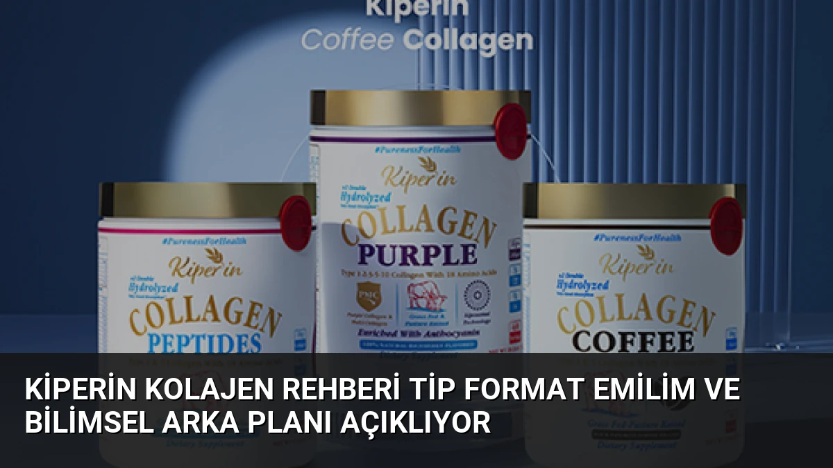 Kiperin Kolajen Rehberi Tip Format Emilim ve Bilimsel Arka Planı Açıklıyor