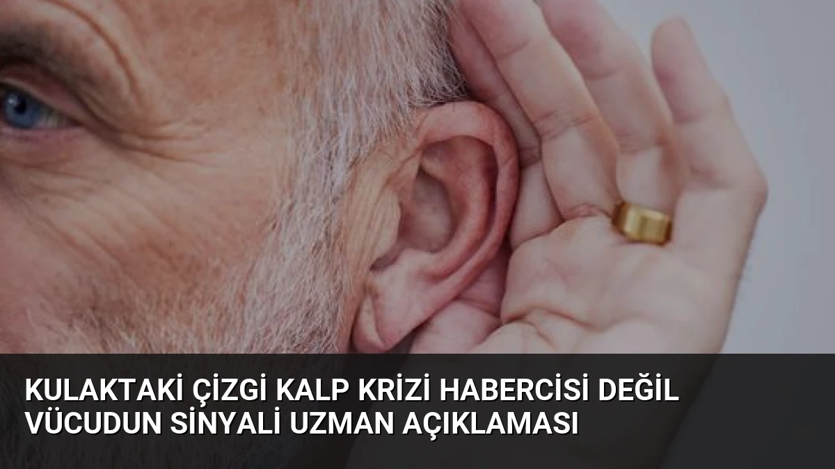 Kulaktaki Çizgi Kalp Krizi Habercisi Değil Vücudun Sinyali Uzman Açıklaması