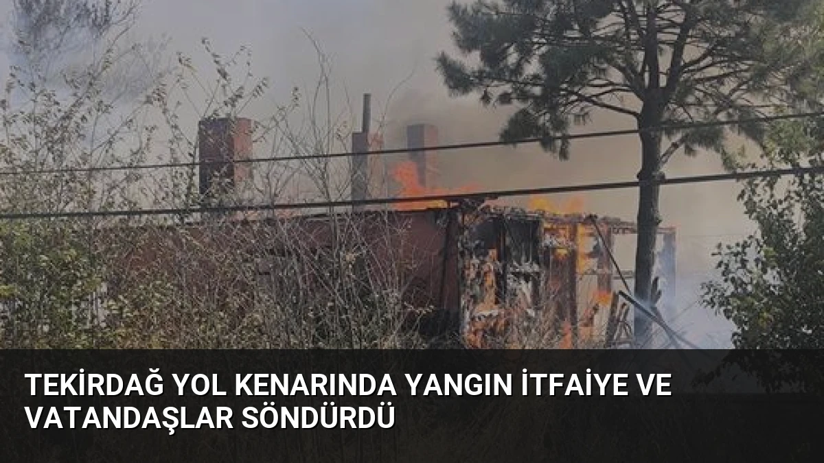 Tekirdağ Yol Kenarında Yangın İtfaiye ve Vatandaşlar Söndürdü