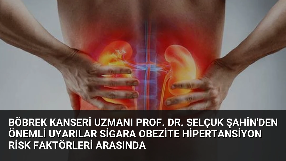 Böbrek Kanseri Uzmanı Prof. Dr. Selçuk Şahin’den Önemli Uyarılar Sigara Obezite Hipertansiyon Risk Faktörleri Arasında