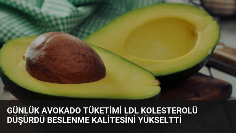 Günlük Avokado Tüketimi LDL Kolesterolü Düşürdü Beslenme Kalitesini Yükseltti