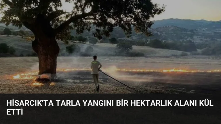 Hisarcık’ta Tarla Yangını Bir Hektarlık Alanı Kül Etti