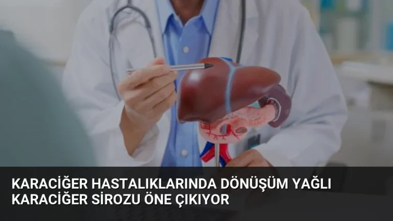 Karaciğer Hastalıklarında Dönüşüm Yağlı Karaciğer Sirozu Öne Çıkıyor