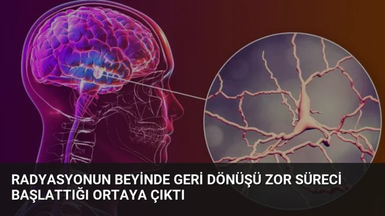 Radyasyonun Beyinde Geri Dönüşü Zor Süreci Başlattığı Ortaya Çıktı