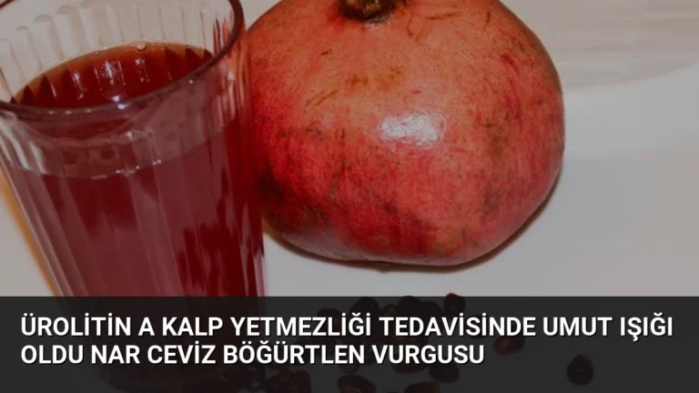 Ürolitin A Kalp Yetmezliği Tedavisinde Umut Işığı Oldu Nar Ceviz Böğürtlen Vurgusu